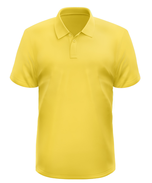 Corporate Polo T-Shirt Manufacturer Tirupur-Plain Collar Neck T-Shirt India